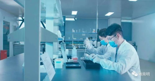 南明這家醫療企業不得了,收購美國公司,產品暢銷全國