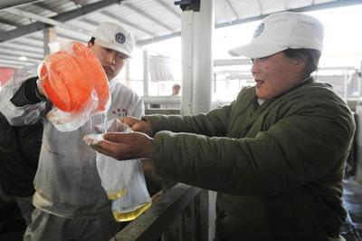 雙匯涉&ldquo;瘦肉精&rdquo;產品下架 工廠停產自查(組圖)